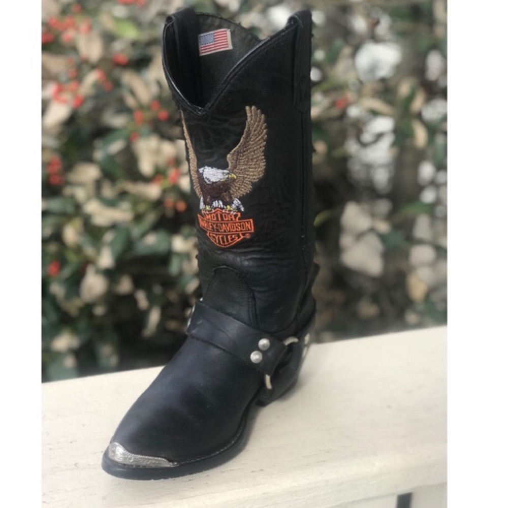 In search of : Harley Davidson cowboy boots